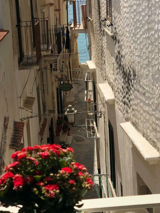 Estlevante Bed & Breakfast